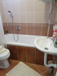 a bathroom with a shower and a sink and a toilet at Apartman Centar in Novi Sad