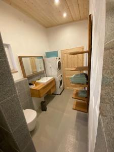 a bathroom with a toilet sink and a washing machine at Silbersberg Cottage in Gloggnitz