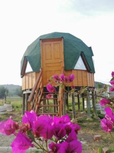 a small house with a green roof with purple flowers at Glamping y Cabañas el Encanto- los novios in Tota
