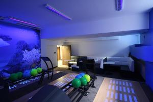 Fitness centrum a/nebo fitness zařízení v ubytování Hotel Grafit