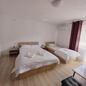 a bedroom with two beds and a table and a window at Casa Alexia in Pescari