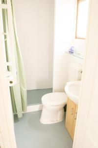 a white bathroom with a toilet and a sink at Chalet 't zeeuwse genot in Baarland