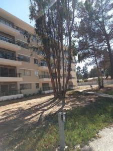 Foto sihtkohas El Tabo asuva majutusasutuse Hermoso Dpto entre bosque y piscina. galeriist