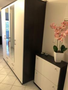 Fotografia z galérie ubytovania Apartman Dani - Sutivan v Sutivane