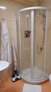 a shower with a glass door in a bathroom at Apartma Marjetica in Gozd Martuljek +21 photos
