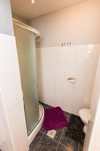 a bathroom with a shower and a toilet at Apartments Lemmy in Zadar