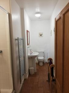 ein Bad mit einem WC und einem Waschbecken in der Unterkunft Rainors farm B&B in Gosforth
