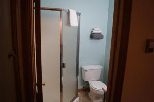 a bathroom with a toilet and a glass shower stall at Swiftcurrent Lodge in Estes Park