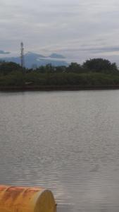 een grote hoeveelheid water met bomen op de achtergrond bij Cnunk Bungalow in Gili Meno