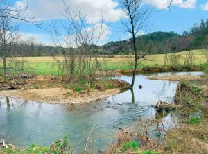 Příroda nedaleko prázdninového domu