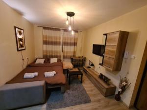 โทรทัศน์และ/หรือระบบความบันเทิงของ Grey & Sunny Apartments Zaječar