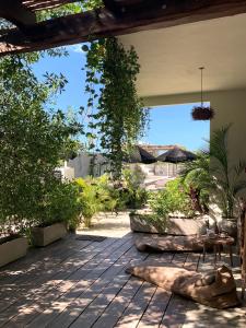 Zahrada ubytování Boutique Hotel EL NIDO Holbox