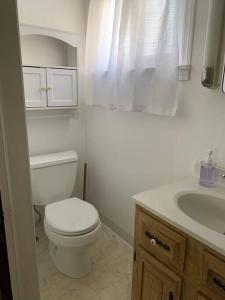 a bathroom with a white toilet and a sink at Cute and cozy at Niagara Falls USA in Niagara Falls