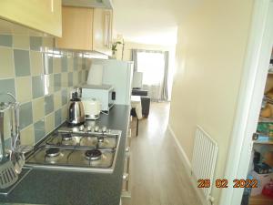 Dapur atau dapur kecil di Two beautiful double bedroom Tulip apartment