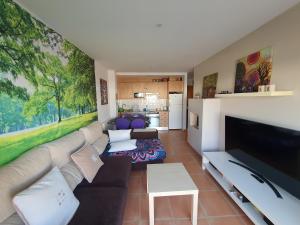 TV a/nebo společenská místnost v ubytování Apartamento Almenara Nova Almenareta