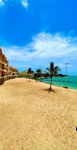 a beach with a palm tree and the ocean at درة العروس فخامة فان بيتش in Durat  Alarous