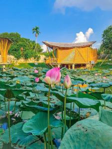 a field of lily pads with pink flowers and a building at LITTLE BEE HOUSE in Trại Vang