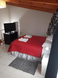 a bedroom with a red bed and a television at Hospedaje Naim in Ushuaia