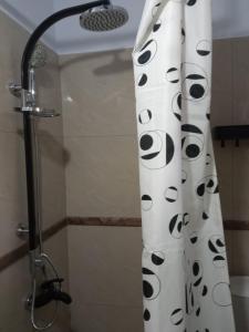 cortina de ducha en el baño con cabezal de ducha en Villa Camellia, en Vrasná