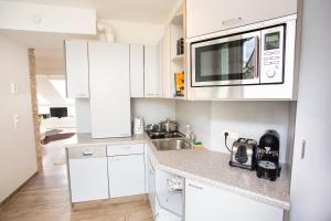 A kitchen or kitchenette at Vienna-Design-Apartments