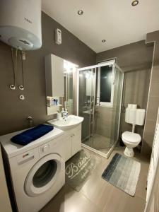 a bathroom with a washing machine and a sink at Apartman Nina - Pale in Pale