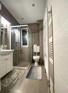 a bathroom with a shower and a toilet and a sink at Apartman Nina - Pale in Pale