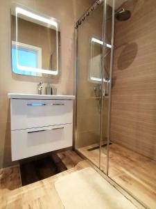 ein Bad mit einer Dusche, einem Waschbecken und einem Spiegel in der Unterkunft Corallium Imperiale in Goveđari