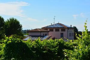 A garden outside Le Stanze di Bacco