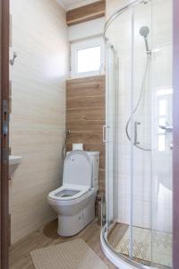 a bathroom with a toilet and a shower at Zlatni Klas in Zrenjanin