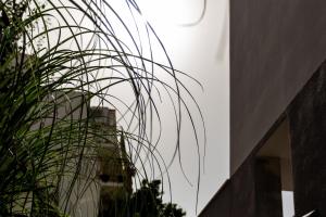 Fotografie z fotogalerie ubytování Villa Mare's 1 ve Splitu