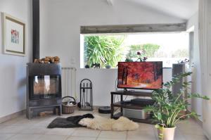salon z telewizorem i psem leżącym na podłodze w obiekcie Villa avec piscine a Hendaye w mieście Hendaye