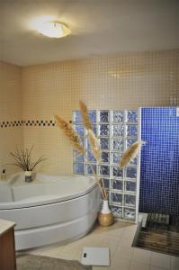 Bathroom sa Villa avec piscine a Hendaye