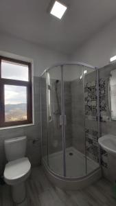a bathroom with a shower and a toilet and a sink at Maramures BELVEDERE in Petrova