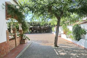 A garden outside Bungalow La Roa I