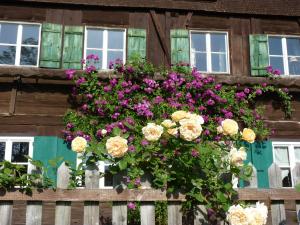 a hanging basket of flowers on a wooden fence at Rosenhof in Görisried