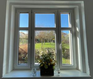 Zahrada ubytování Apartmán Na Polabí + 5 fotografií