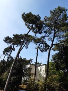 Foto da galeria de Agréable studio Ronce les bains em La Tremblade