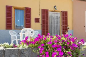 Κήπος έξω από το Ca Na Velutina - Can Picafort