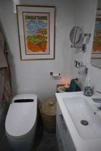 a bathroom with a white toilet and a sink at appartement carqueiranne le port in Carqueiranne