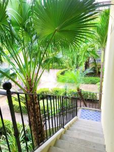 صورة لـ Palm Tree Resort with Pool 5 Min Walk to 3 Beaches في Tempate