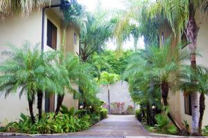 صورة لـ Palm Tree Resort with Pool 5 Min Walk to 3 Beaches في Tempate