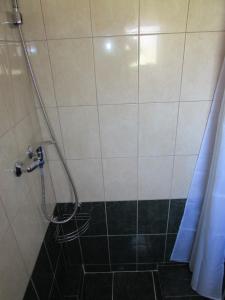 eine Dusche mit einem Schlauch in einem Badezimmer in der Unterkunft Kuća za odmor-Val in Vir
