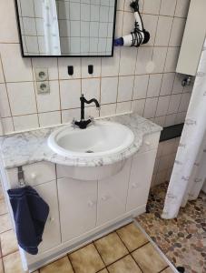 La salle de bains est pourvue d'un lavabo et d'un miroir. dans l'établissement Haus Adelheid, à Weil am Rhein