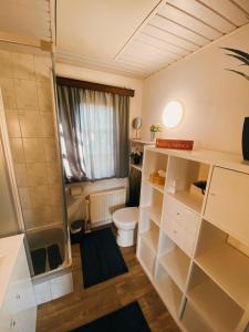 a small bathroom with a toilet and a shower at Le gîte Martin in Dinant