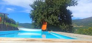 ein Pool mit blauem Wasser und einem Baum in der Unterkunft CASERIO RECTORAL DESTERIZ in Ourense