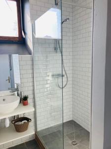 uma casa de banho com uma cabina de duche em vidro e um lavatório. em Charmant appartement em Épinal