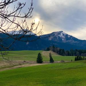 Paesaggio naturale nelle vicinanze dell'appartamento