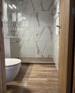 a bathroom with a toilet and a marble wall at MM Sofy in Palisat +35 photos