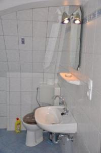 ein Badezimmer mit Toilette, Waschbecken und Spiegel in der Unterkunft Seevilla Wietjes Whg 5 in Baltrum + 29 Fotos