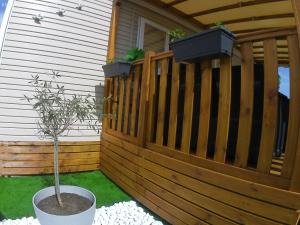 Mobil home moderne neuf et ultra équipé de 6 à 8 couchages外面的花园